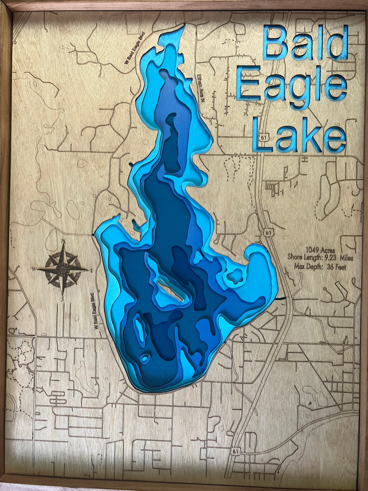 Bald Eagle