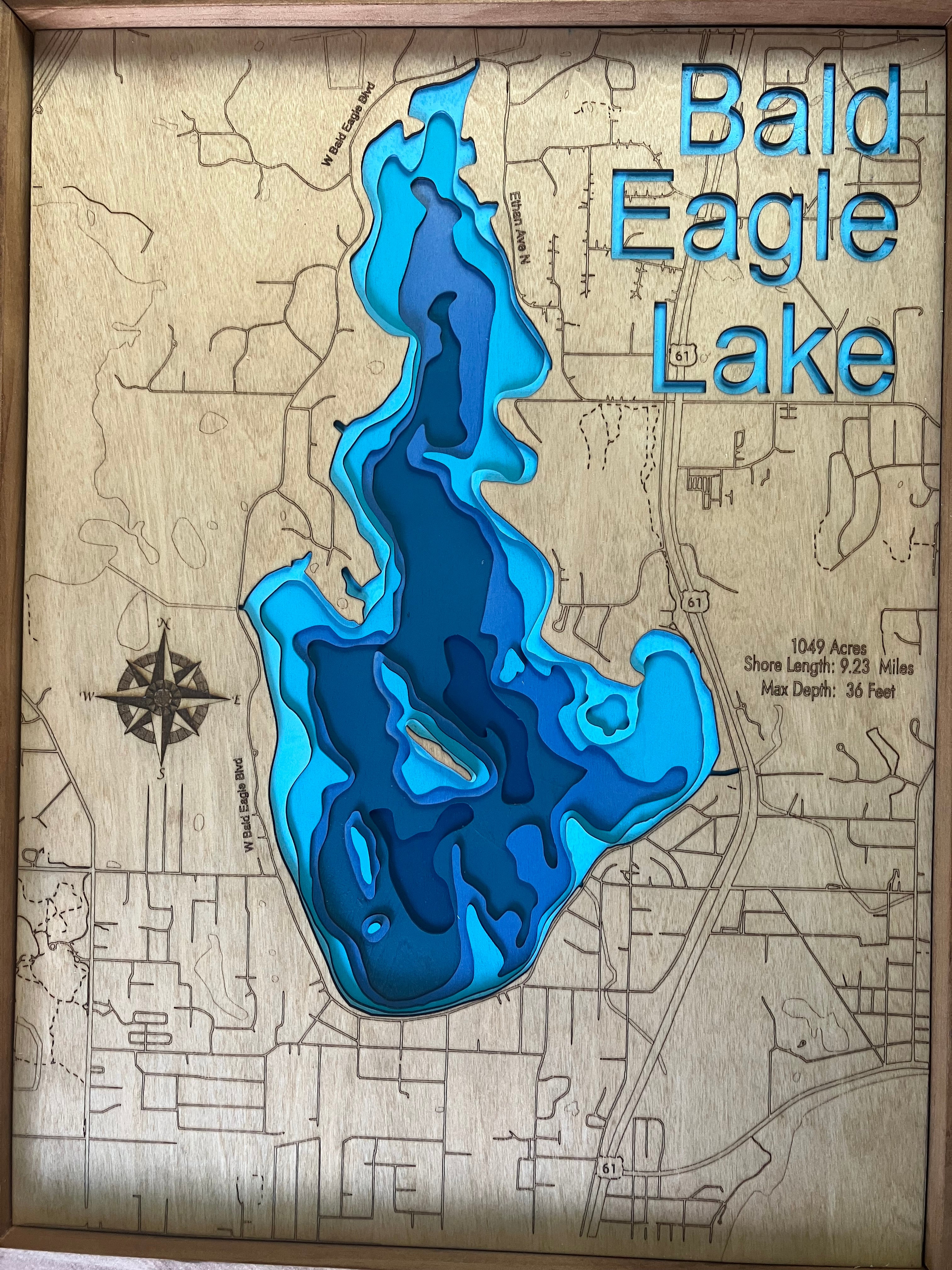 Bald Eagle