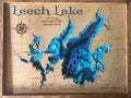 Leech